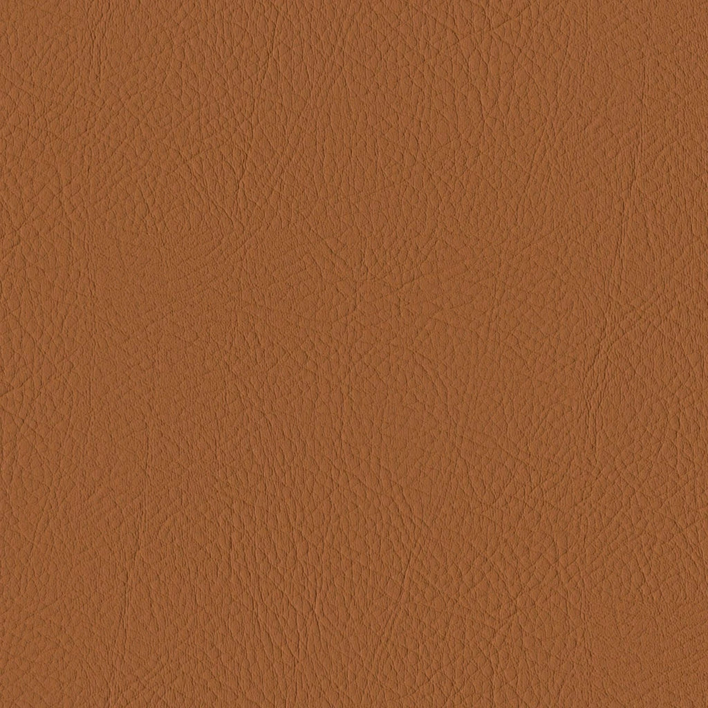 Tour, Burnt Sienna