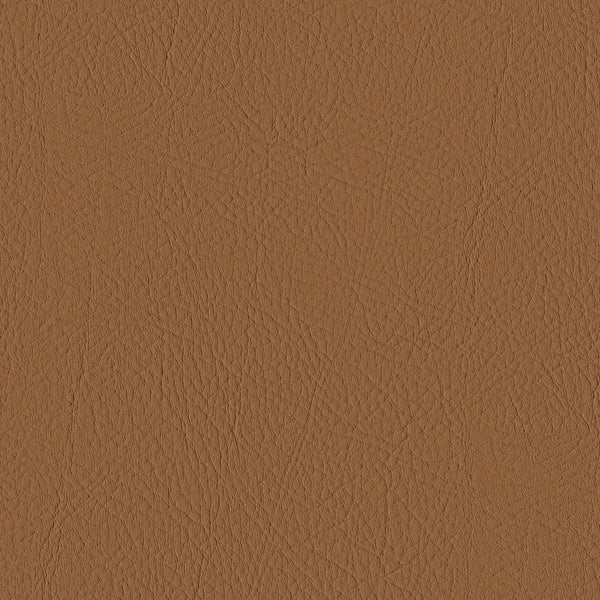 Tour, Camel Wallcoverings | Designtex