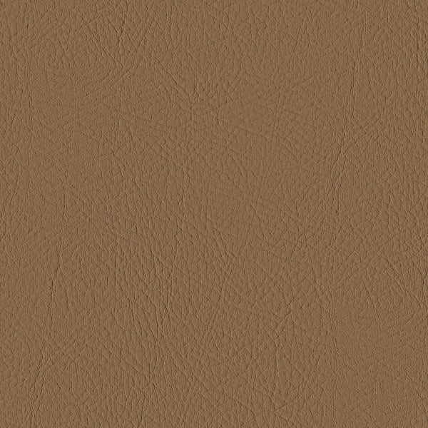 Tour, Camel Wallcoverings | Designtex