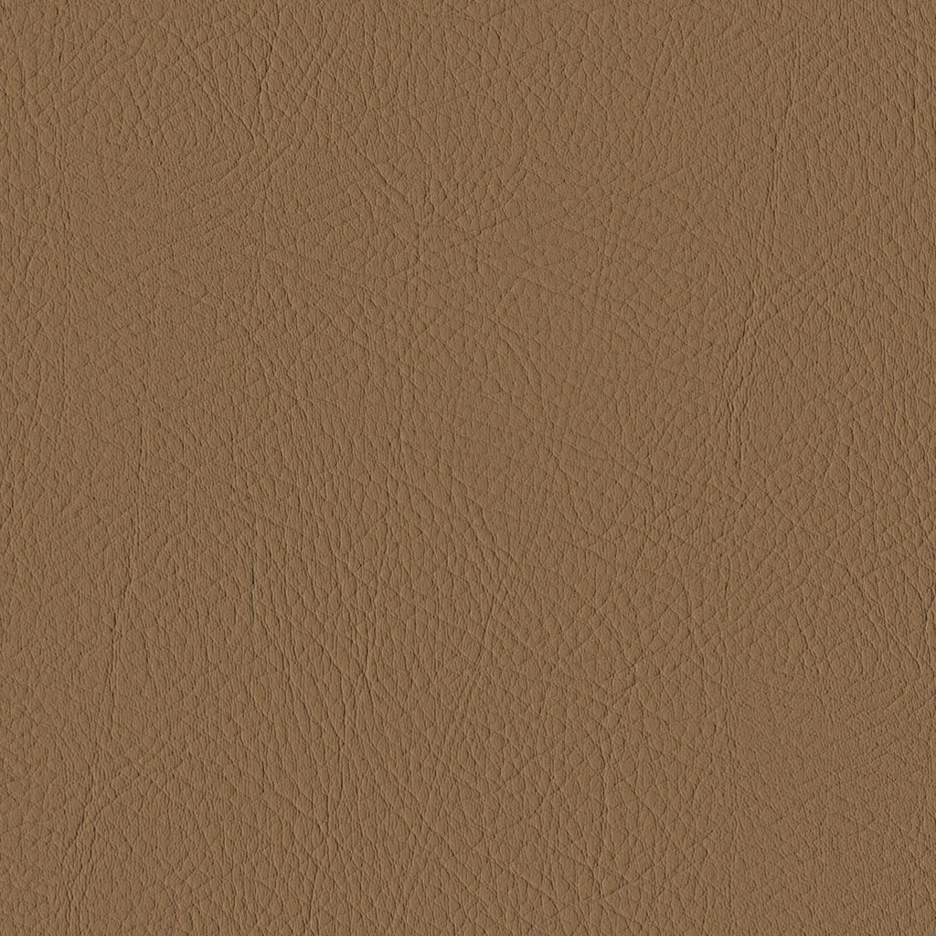 Tour, Camel