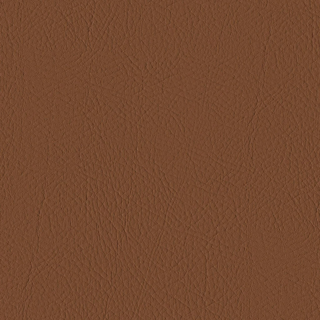 Tour, Brown