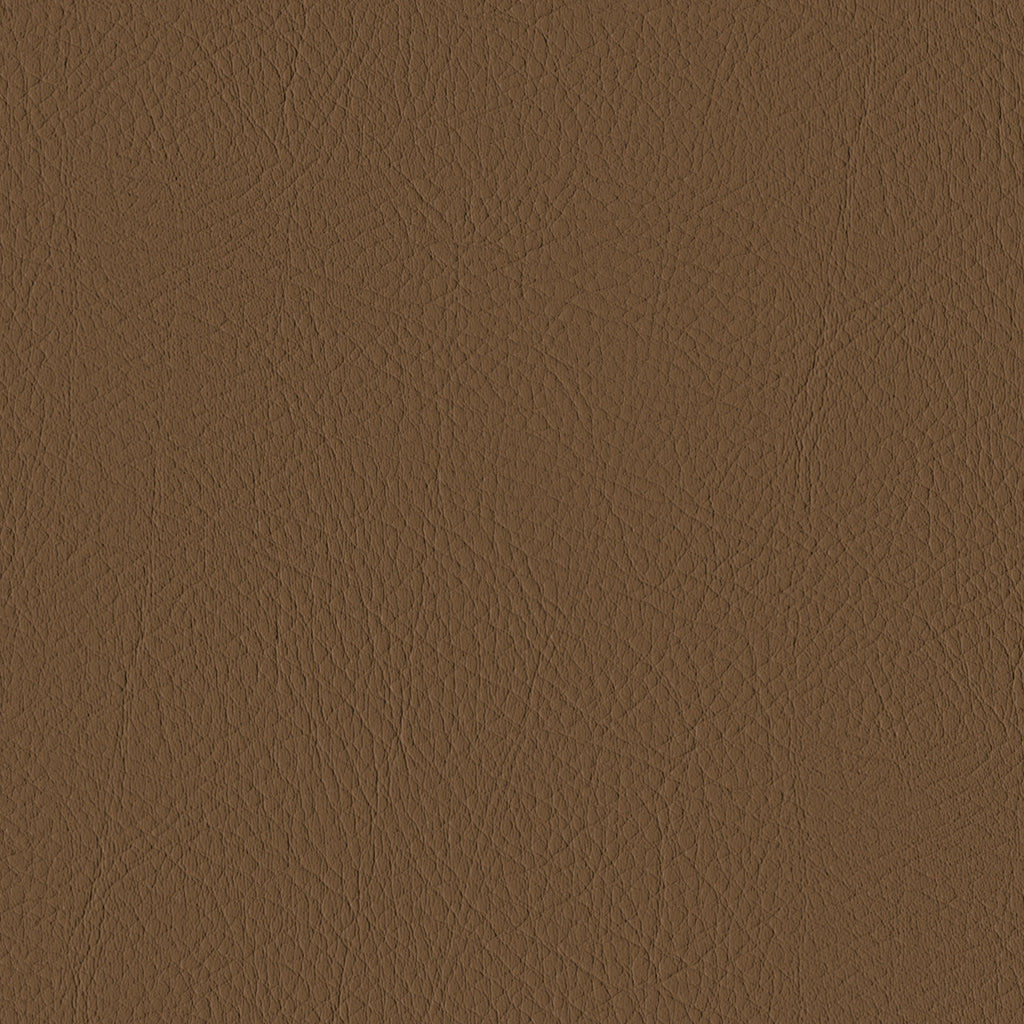 Tour, Brown