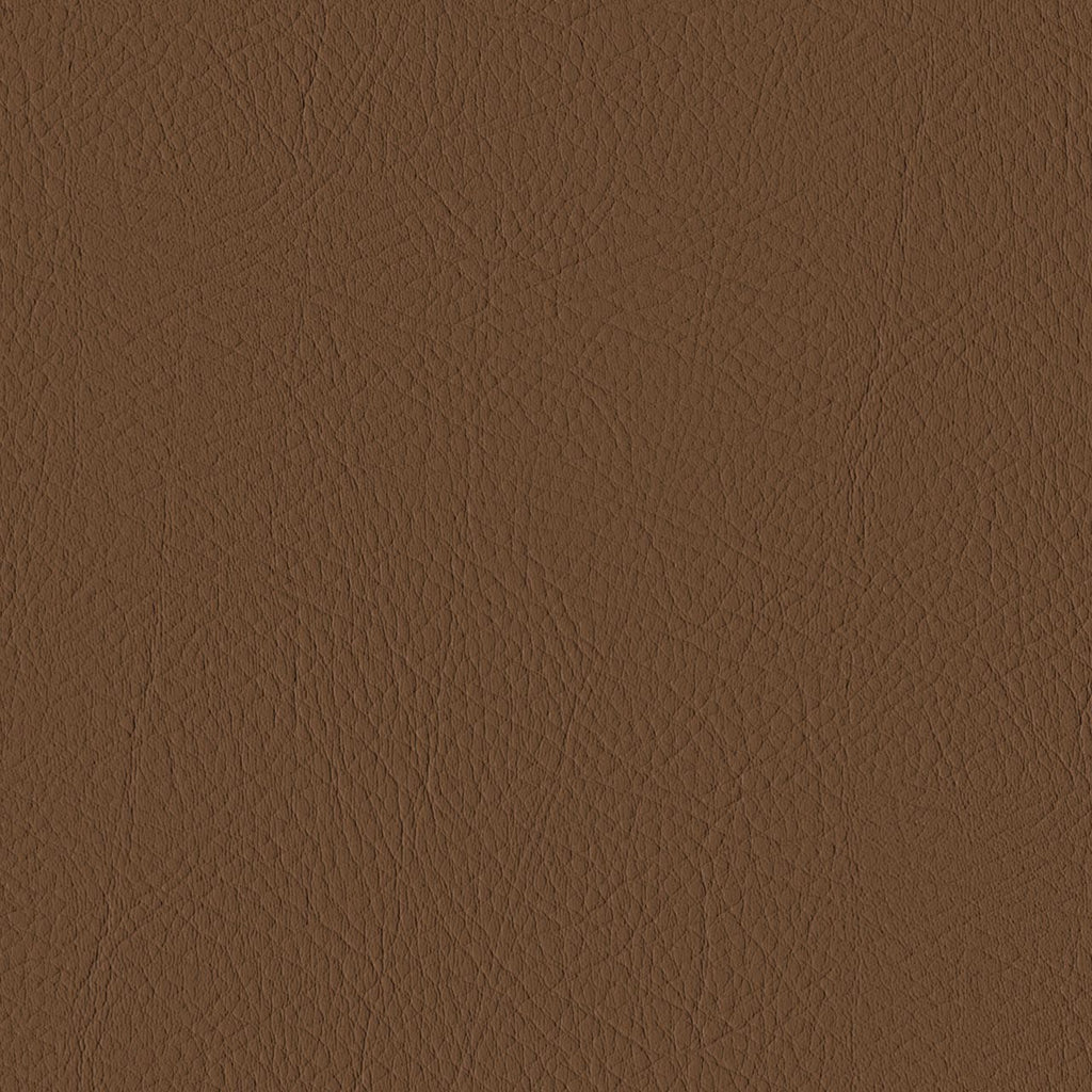 Tour, Brown