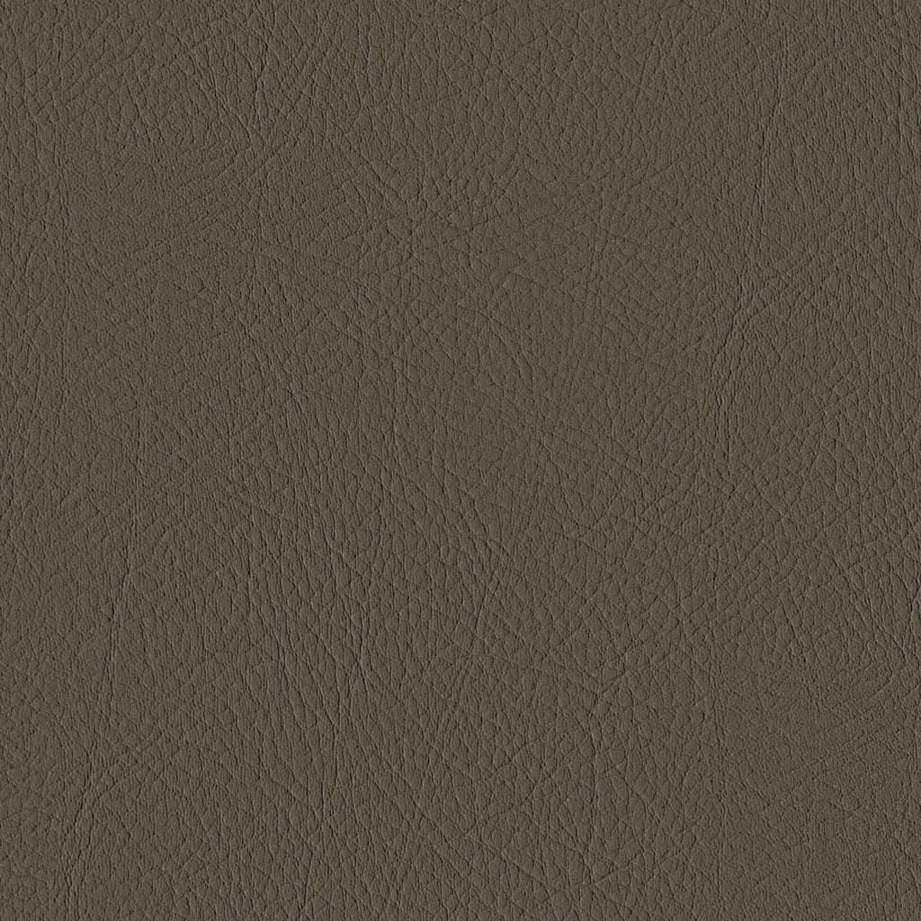Tour, Taupe