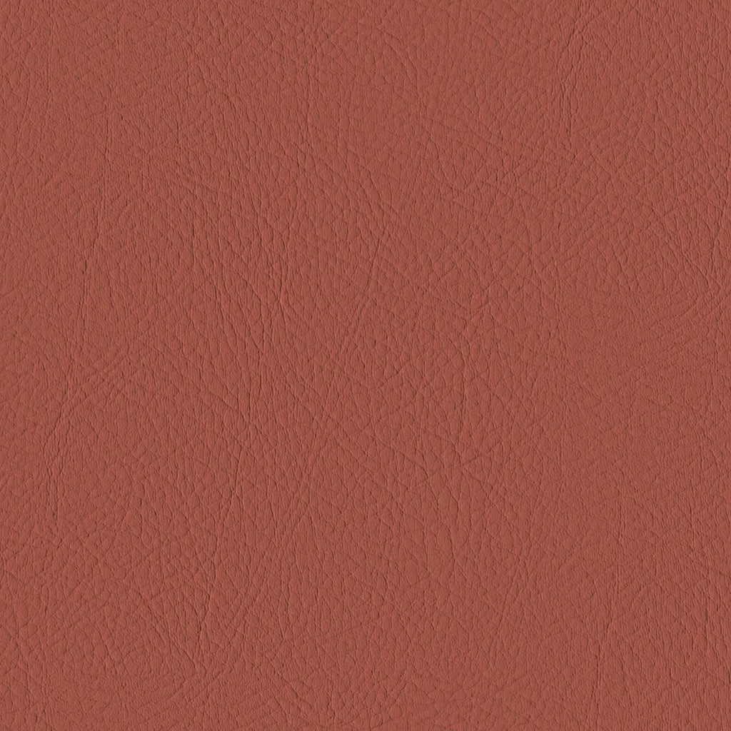 Tour, Terracotta