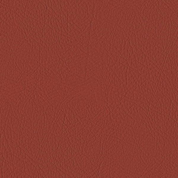 Tour, Burnt Sienna Wallcoverings | Designtex