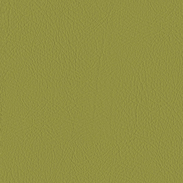 Tour, Olive Green Wallcoverings | Designtex