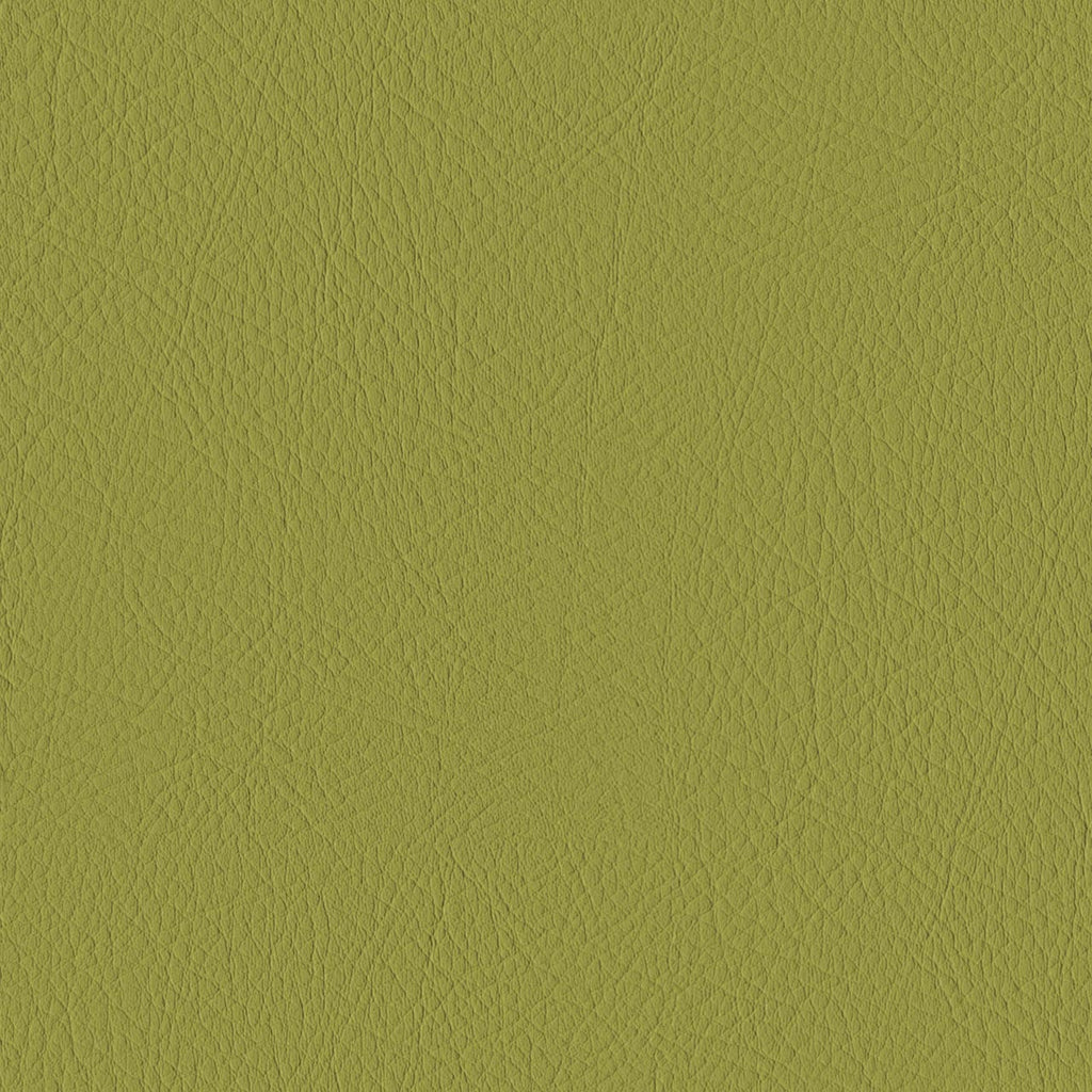 Tour, Olive Green