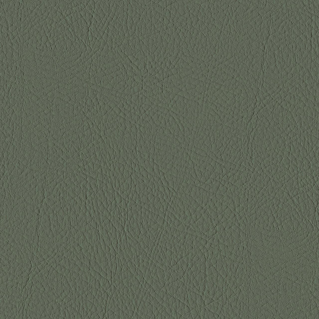 Tour, Olive Green