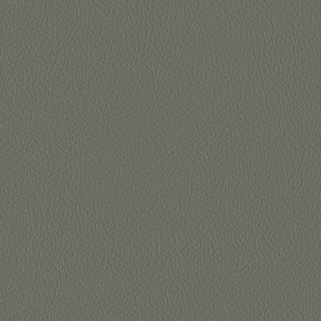 Tour, Gray