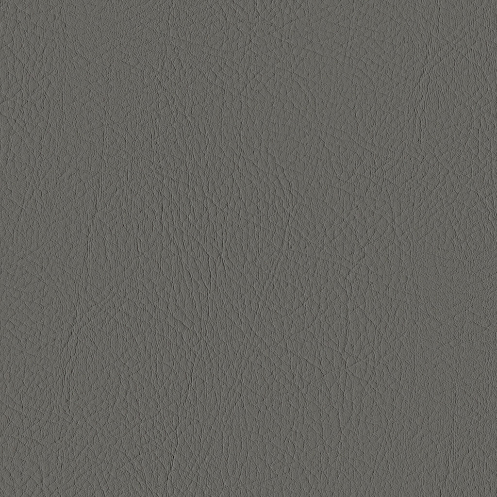 Tour, Gray
