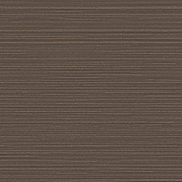 Wanderer, Cocoa Wallcoverings | Designtex