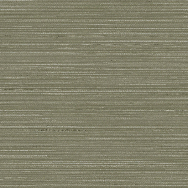 Wanderer, Cargo Wallcoverings | Designtex