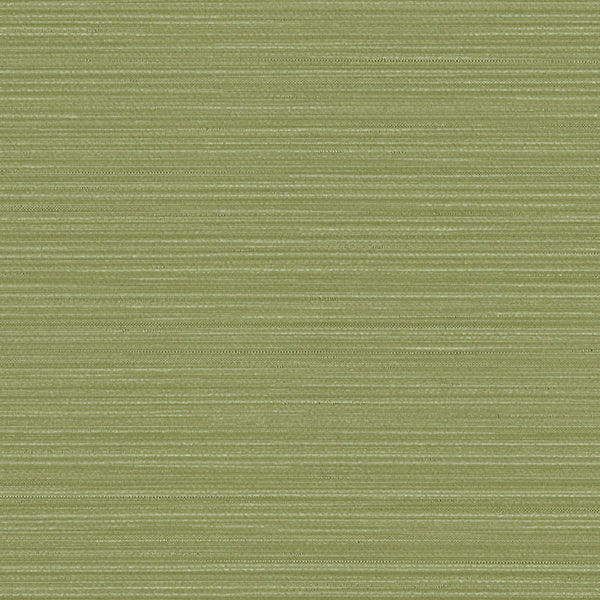 Wanderer, Zest Wallcoverings | Designtex