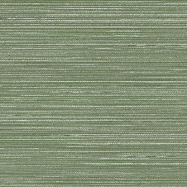 Wanderer, Matcha Wallcoverings | Designtex