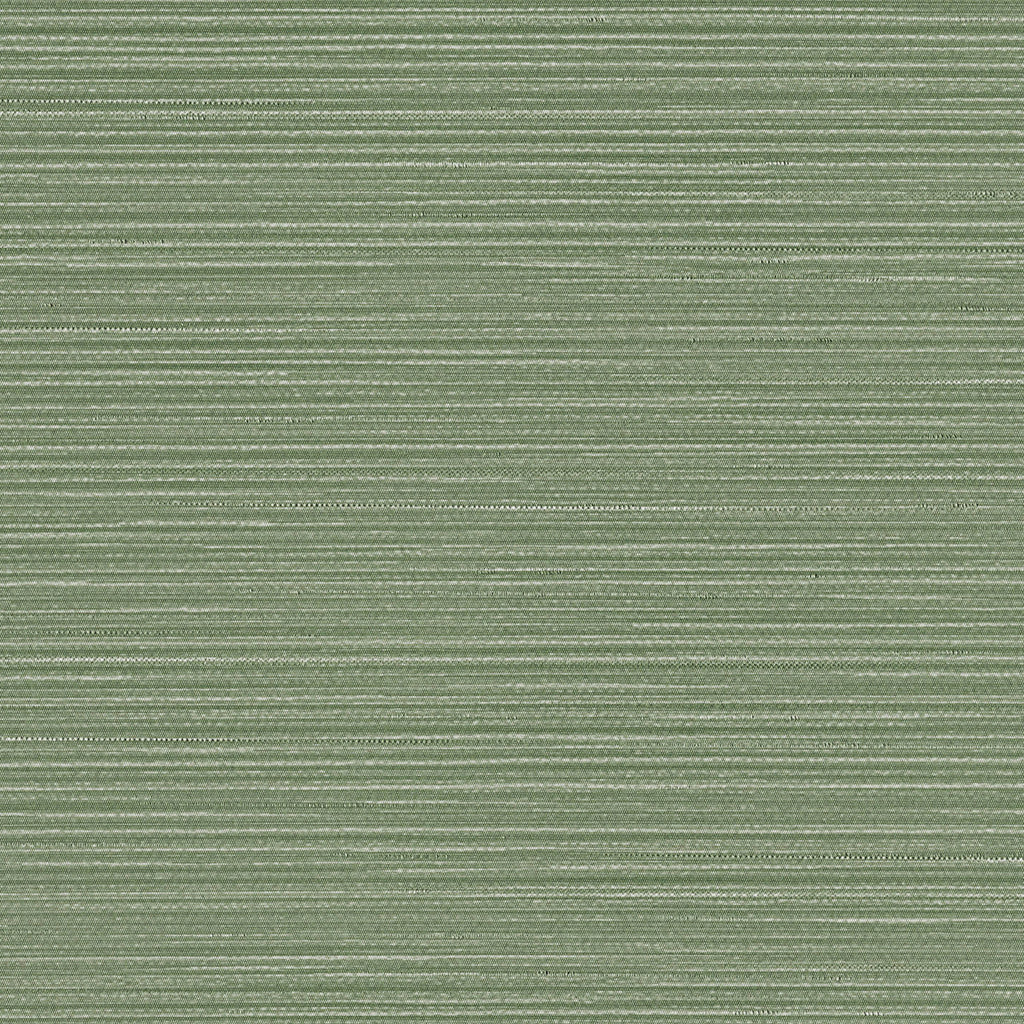 Wanderer, Matcha