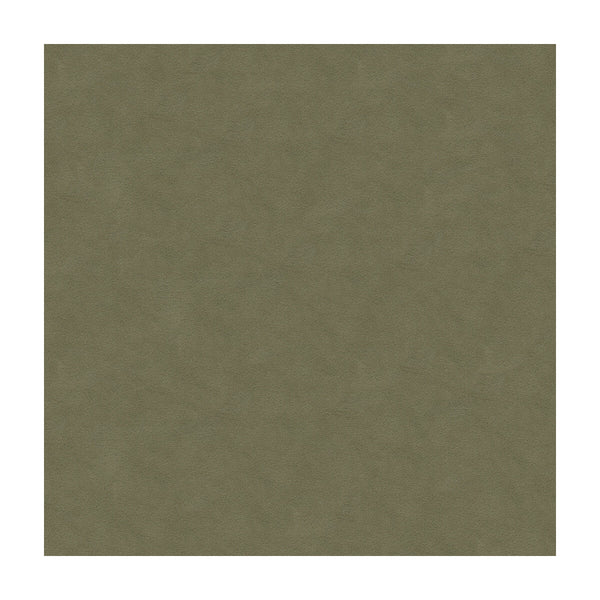 Samples and Purchasing available for Ultrasuede Green - Flannel Brown By Kravet Design | Performance |Solid Texture Upholstery Vinyl/Faux Leather at Designer Wallcoverings and Fabrics