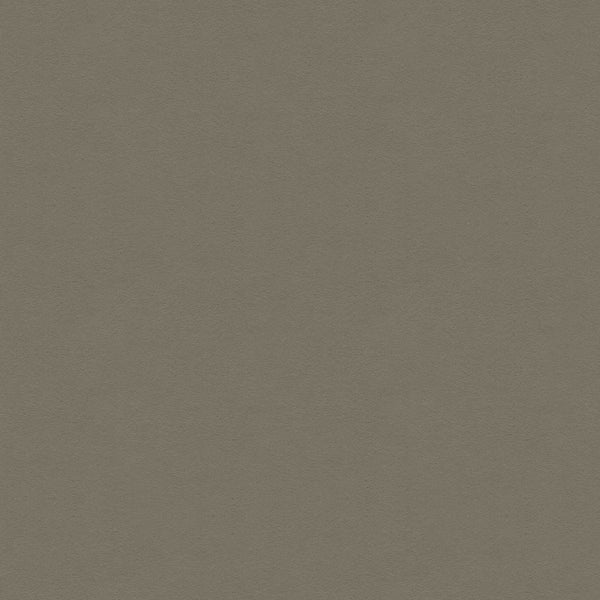 Ultrasuede Green, Taupe Wallcoverings | Kravet