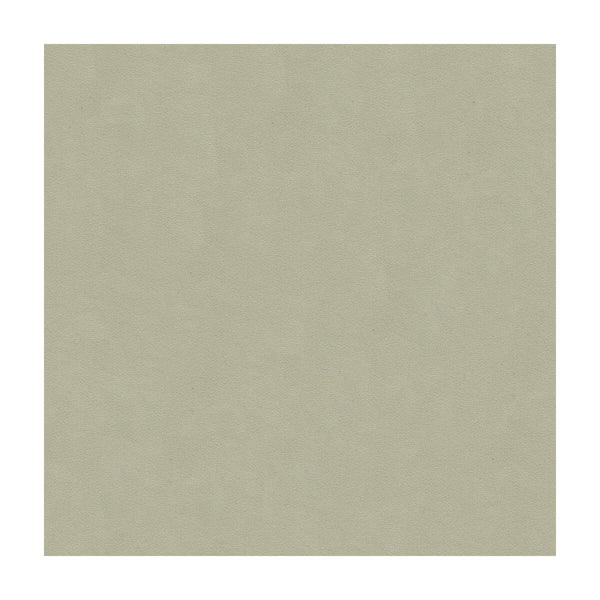 Ultrasuede™ Green - Ash Light Grey By Kravet Design | Performance |Solid Texture Upholstery Vinyl/Faux Leather / Vegan Leather & Fabric