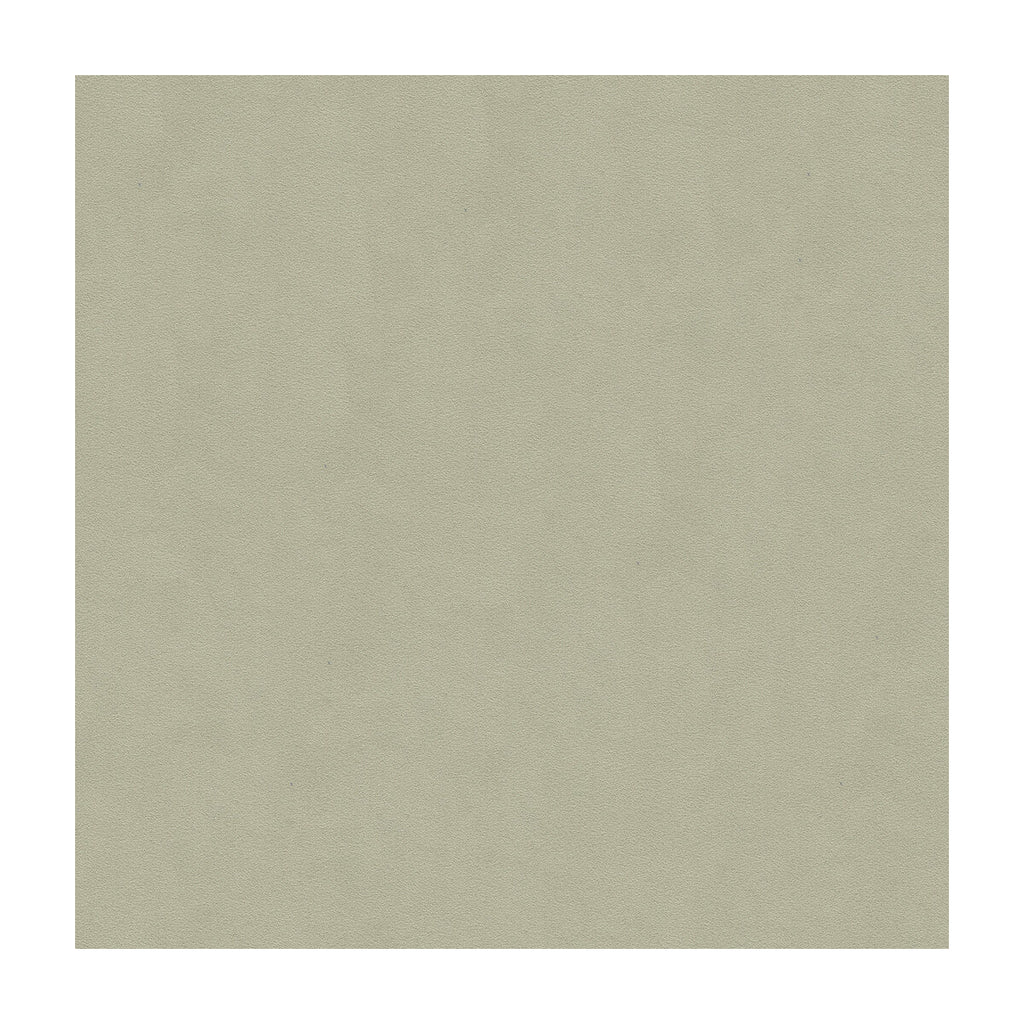 Samples and Purchasing available for Ultrasuede Green - Ash Light Grey By Kravet Design | Performance |Solid Texture Upholstery Vinyl/Faux Leather at Designer Wallcoverings and Fabrics