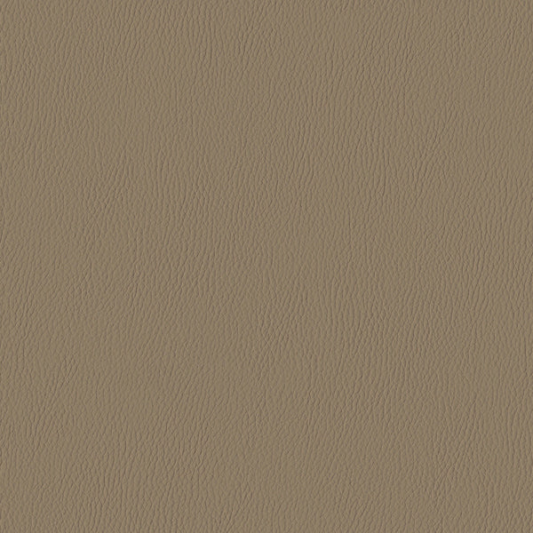 Silicone Range, Taupe Wallcoverings | Designtex