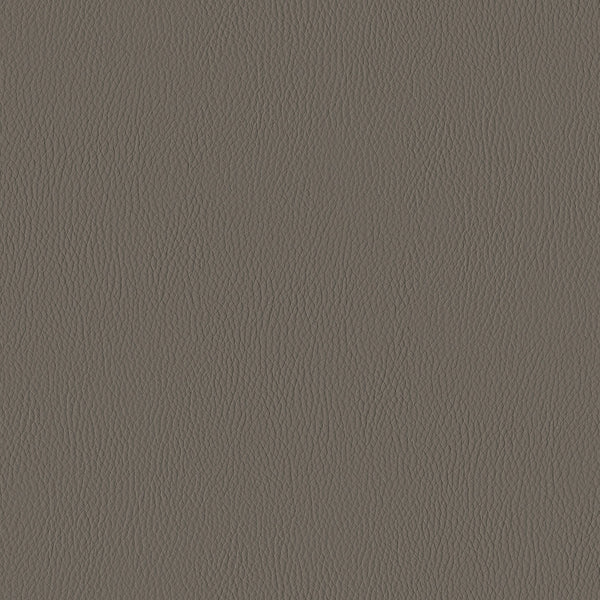 Silicone Range, Taupe Wallcoverings | Designtex