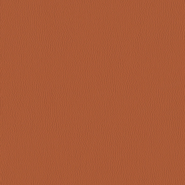 Silicone Range, Burnt Sienna Wallcoverings | Designtex