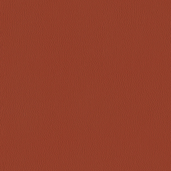 Silicone Range, Burnt Sienna Wallcoverings | Designtex