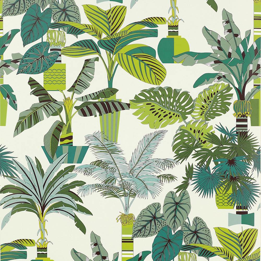 Florida Wallpaper  | Manuel Canovas