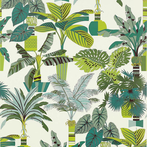 Florida Wallpaper  | Manuel Canovas