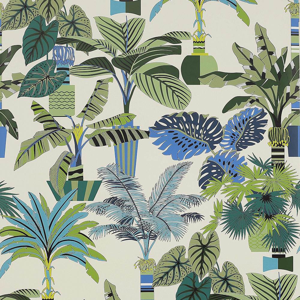 Florida Wallpaper  | Manuel Canovas