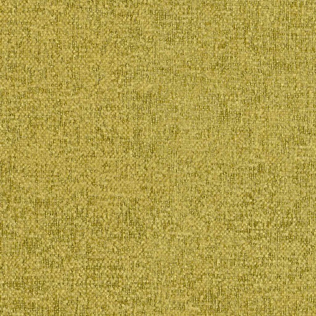 Montreal Crypton®, Fern