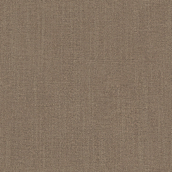 Rome Crypton®, Moleskin Wallcoverings | Designtex