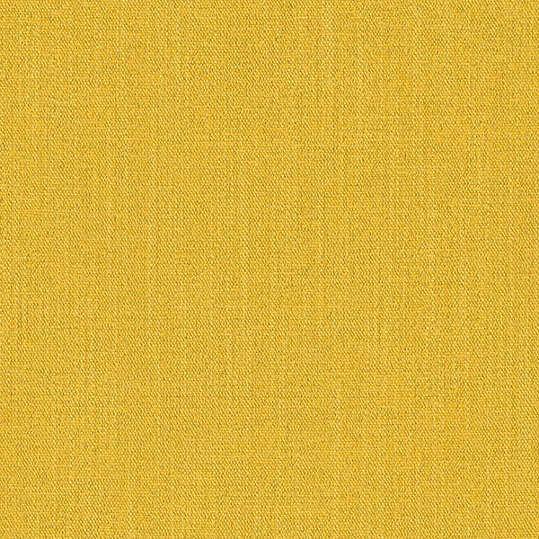 Rome Crypton®, Golden Yellow Wallcoverings | Designtex