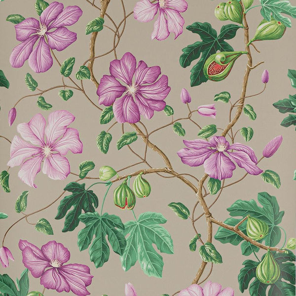 Castellane Wallpaper Multi | Manuel Canovas
