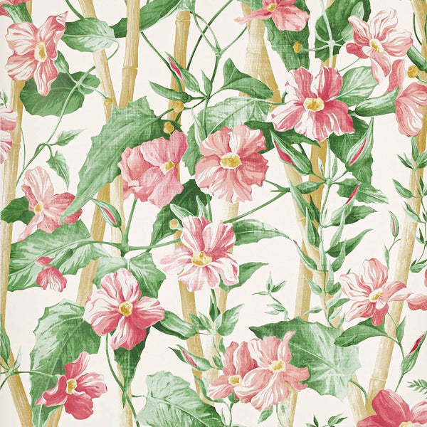 Elena Floral peche Wallpaper | Manuel Canovas