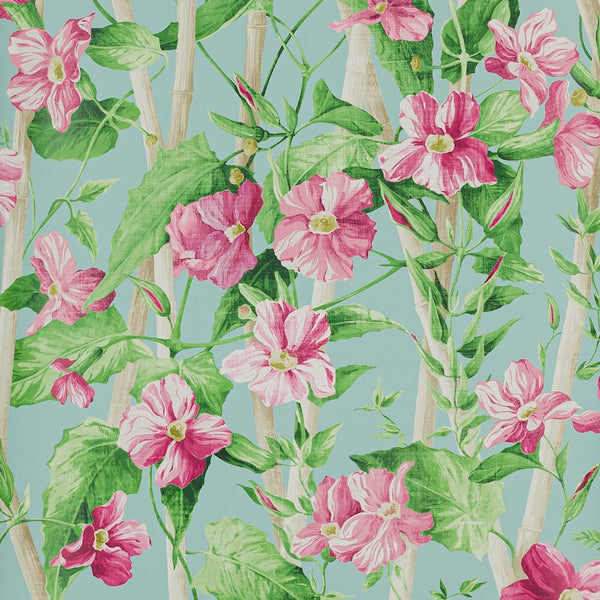 Elena Floral Rose Aqua Wallpaper | Manuel Canovas