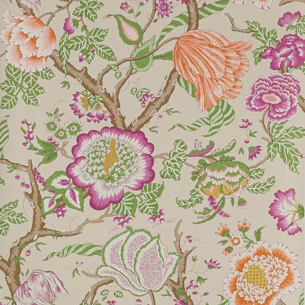 Brahmane Wallpaper  | Manuel Canovas