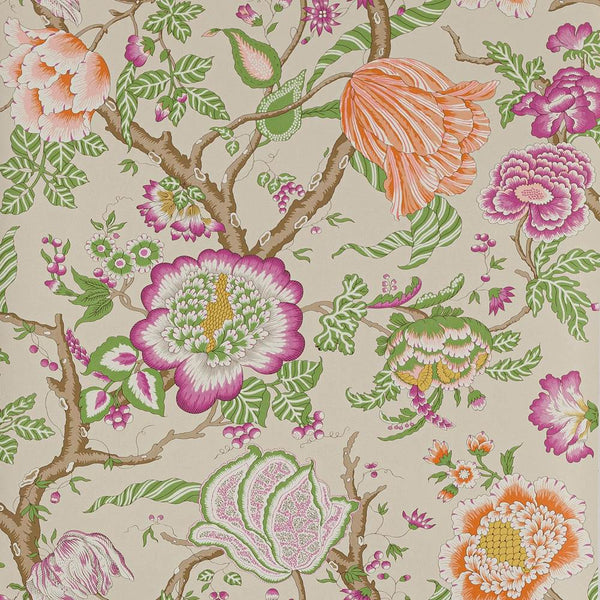 Brahmane Wallpaper  | Manuel Canovas
