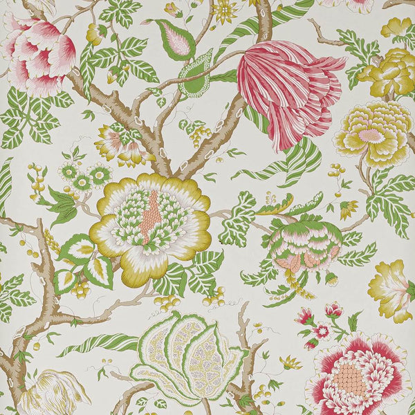 Brahmane Wallpaper  | Manuel Canovas