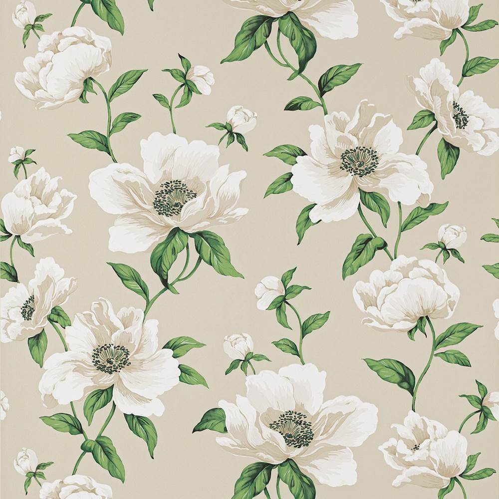 Bianca Wallpaper Cream | Manuel Canovas