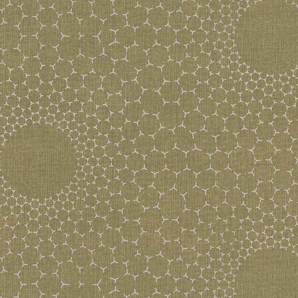 Raia, Olive