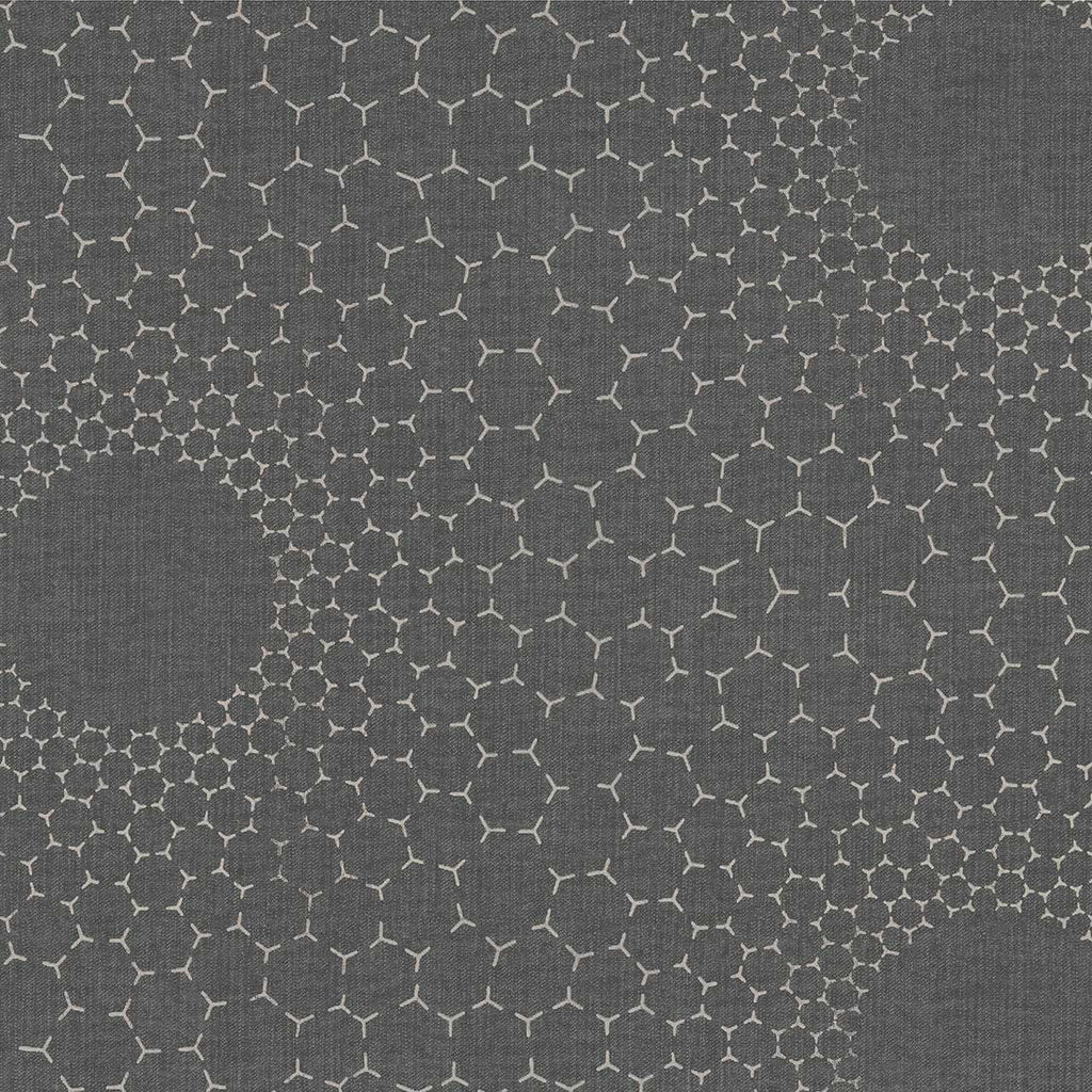 Raia, Graphite