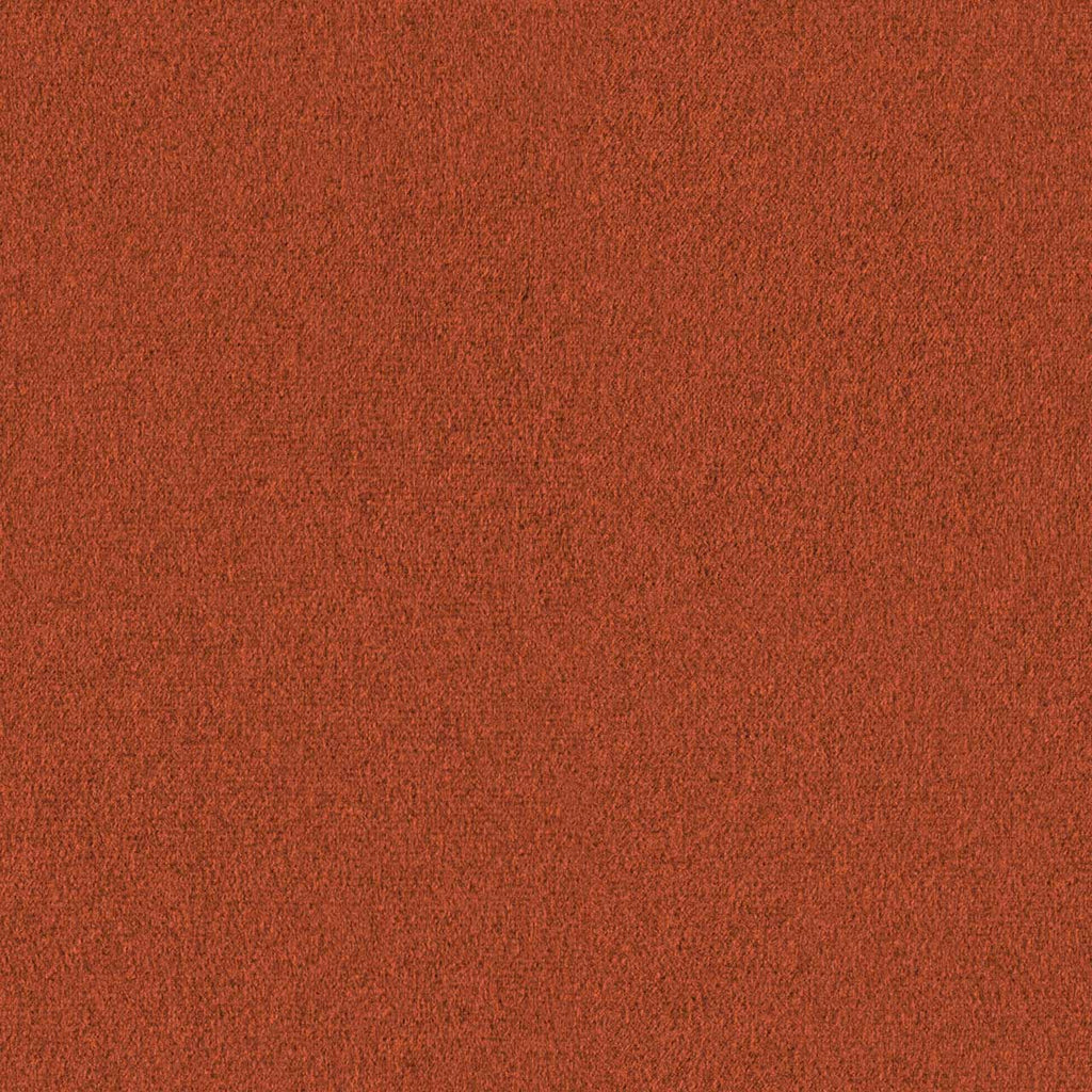 Lounge, Tomato