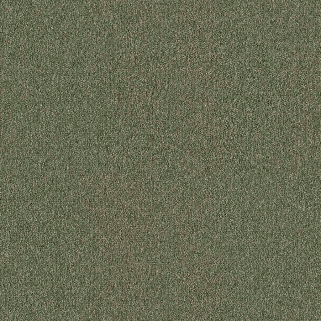 Lounge, Olive