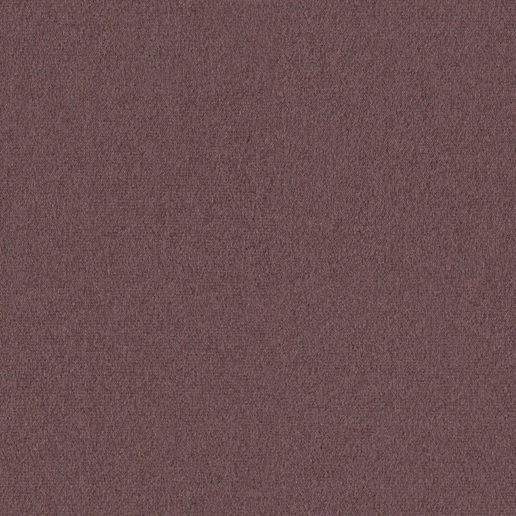 Lounge, Lilac