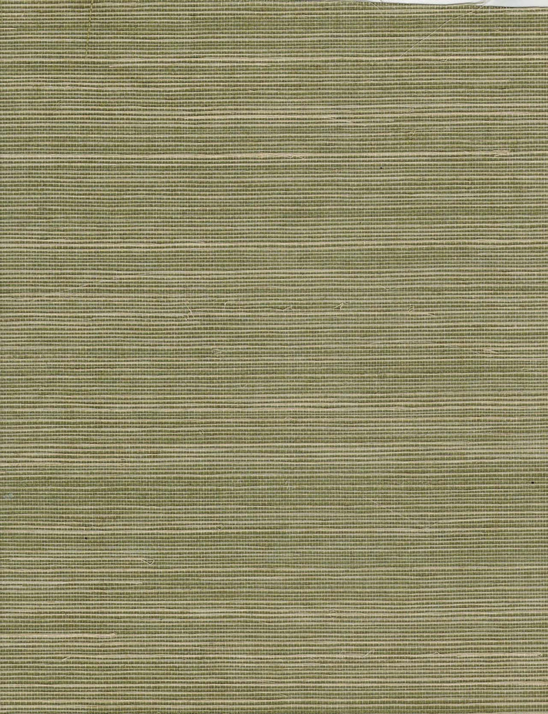 Abacca Extra Beige