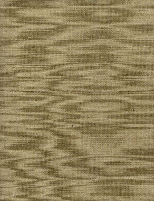 Abacca Olive | Fausel Biskamp