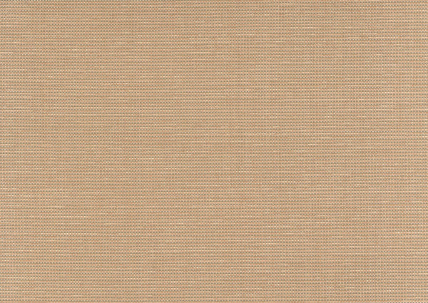 Edgartown-Fawn Wallcovering | Phillipe Romano