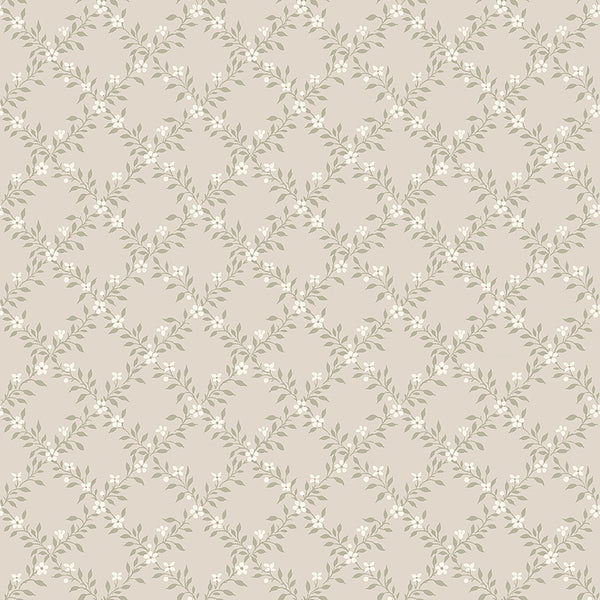 Sommarslöja, Sage Wallcoverings | Schumacher